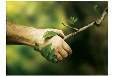 CAMBIO CLIMÁTICO Y TRANSICIÓN ENERGÉTICA