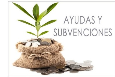 AYUDAS PARA ENERGÍAS RENOVABLES, AHORRO Y EFICIENCIA ENERGÉTICA