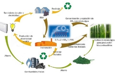 LA VALORIZACIÓN ENERGÉTICA